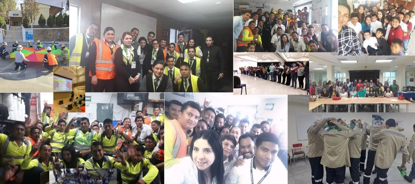 Talleres de capacitación empresarial en campo, aire libre y sala - EVOLVE Consultores México y LATAM